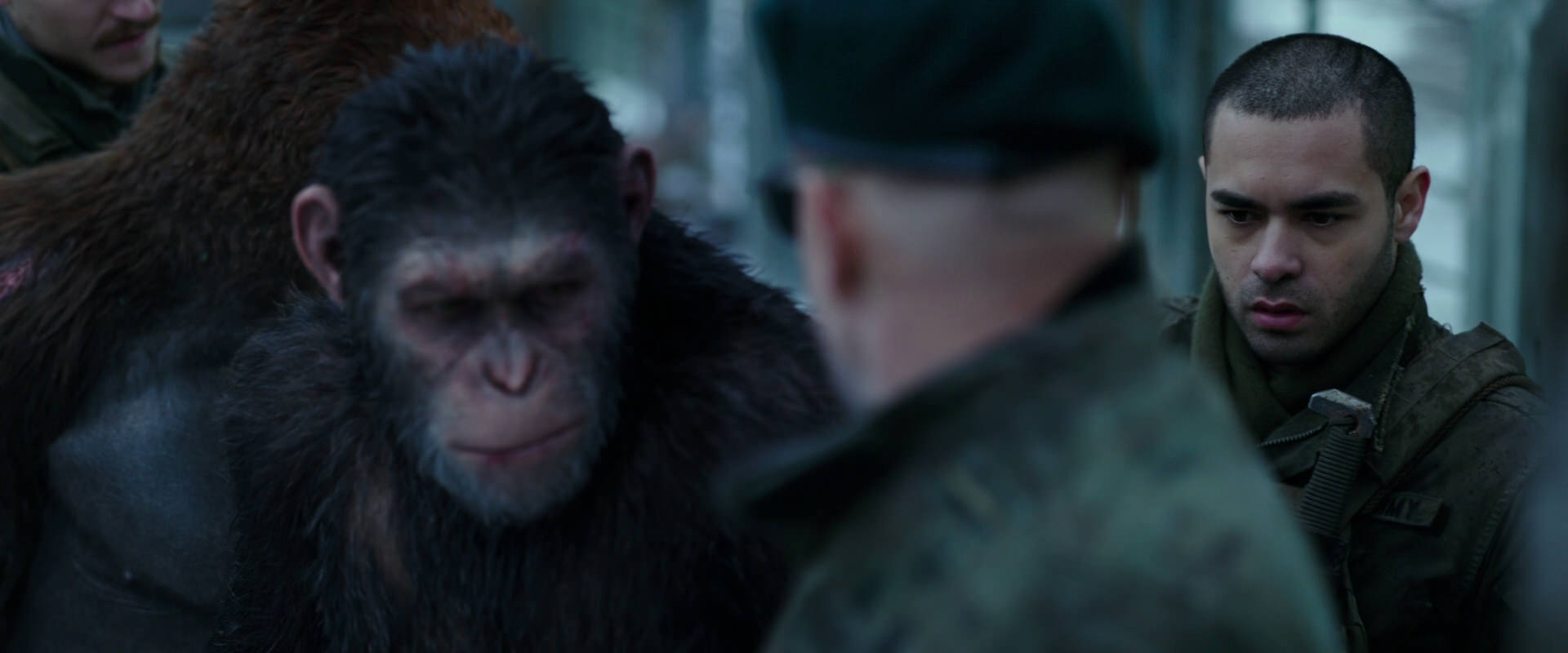 War for the Planet of the Apes (2017) movie still 11662