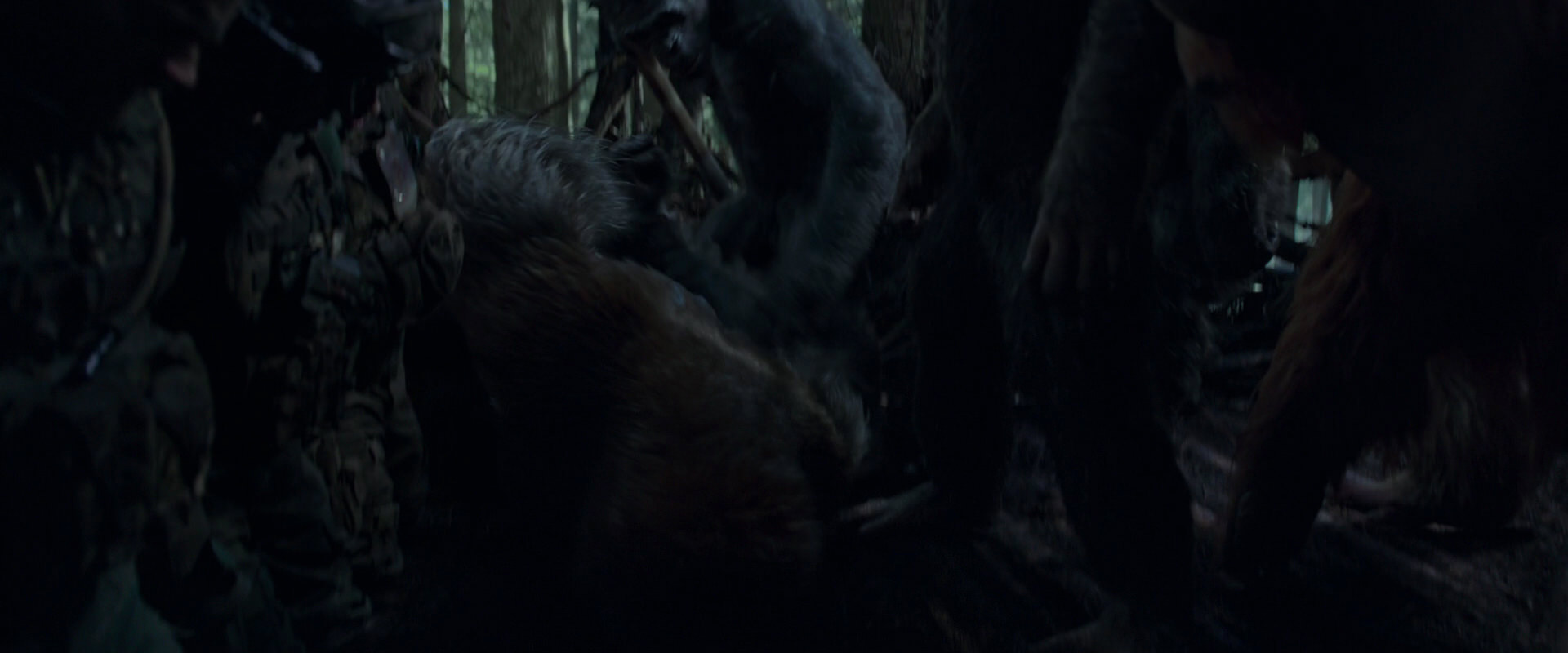 War for the Planet of the Apes (2017) movie still 1168