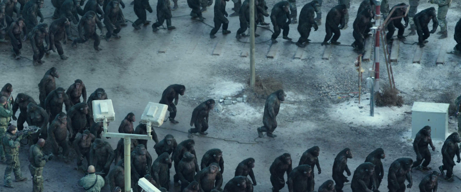 War for the Planet of the Apes (2017) movie still 11689