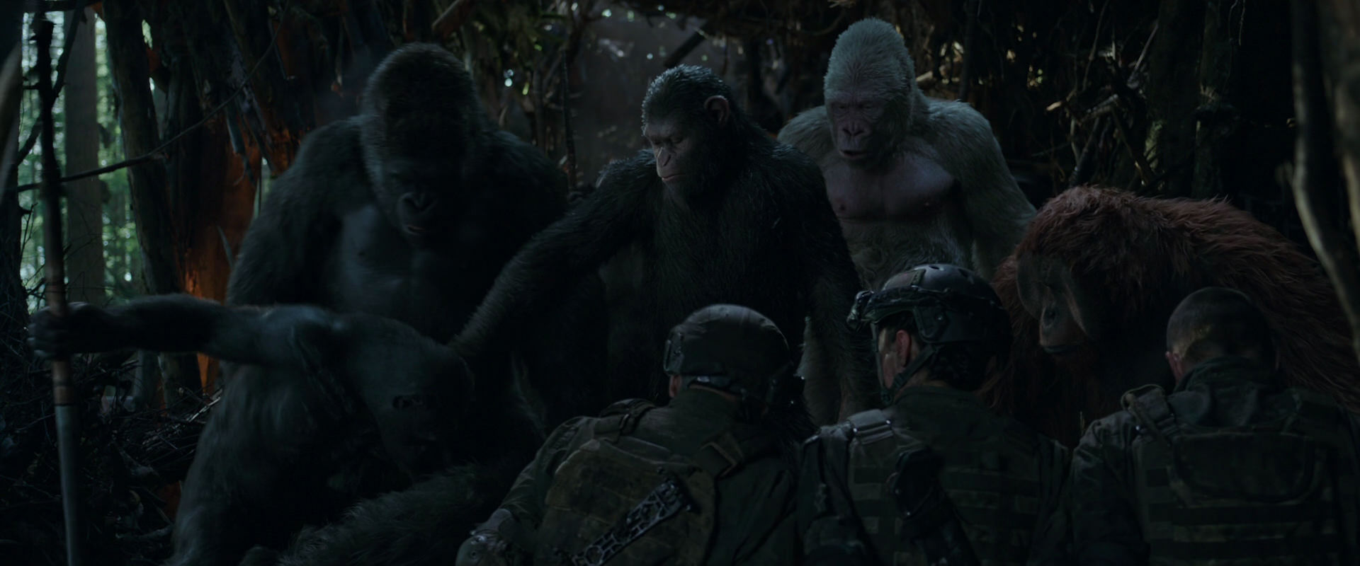 War for the Planet of the Apes (2017) HD screenshot 1169