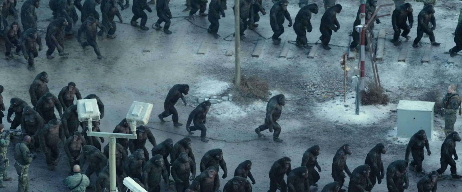 War for the Planet of the Apes (2017) HD screenshot 11690