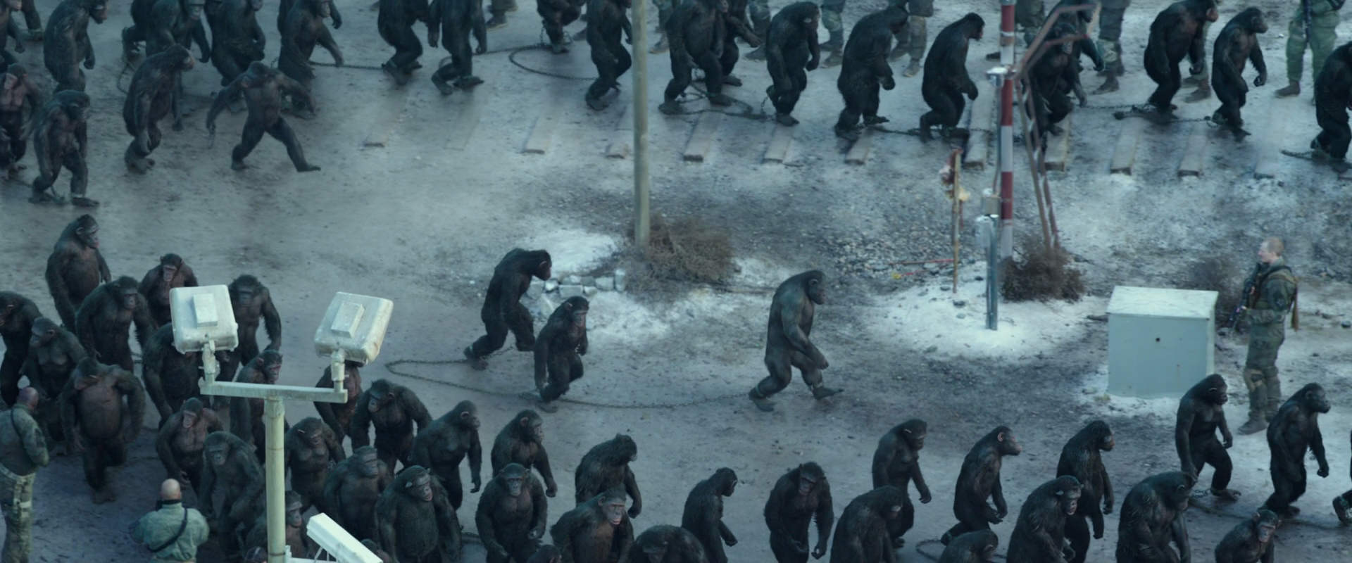 War for the Planet of the Apes (2017) screencap 11691