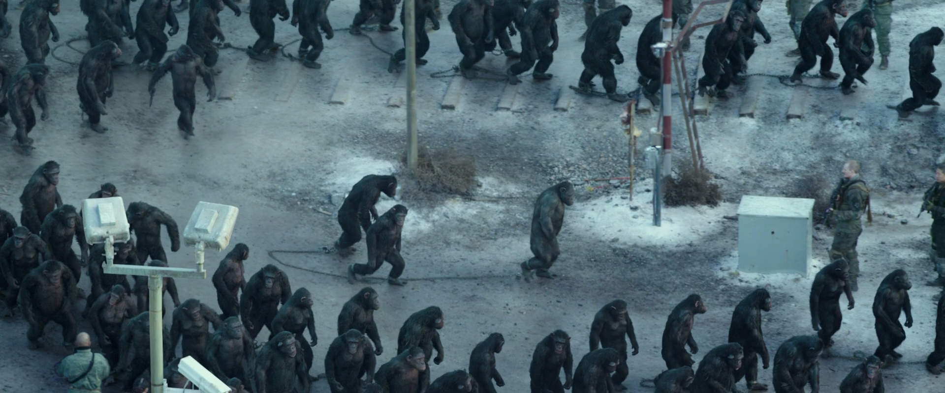 War for the Planet of the Apes (2017) movie still 11692