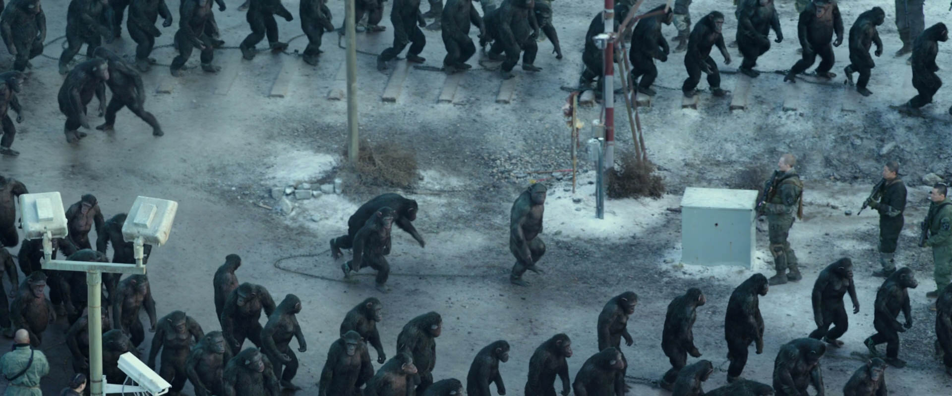 War for the Planet of the Apes (2017) screencap 11694
