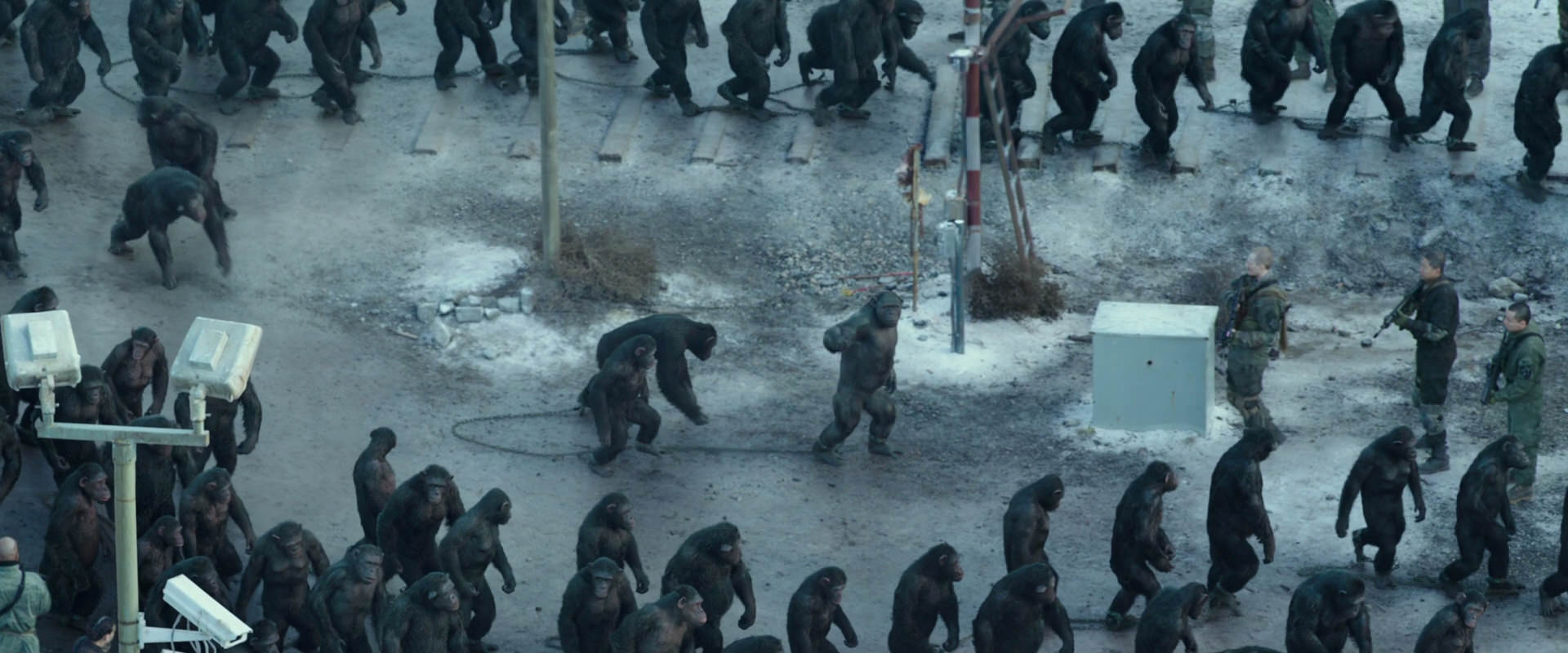 War for the Planet of the Apes (2017) movie still 11695