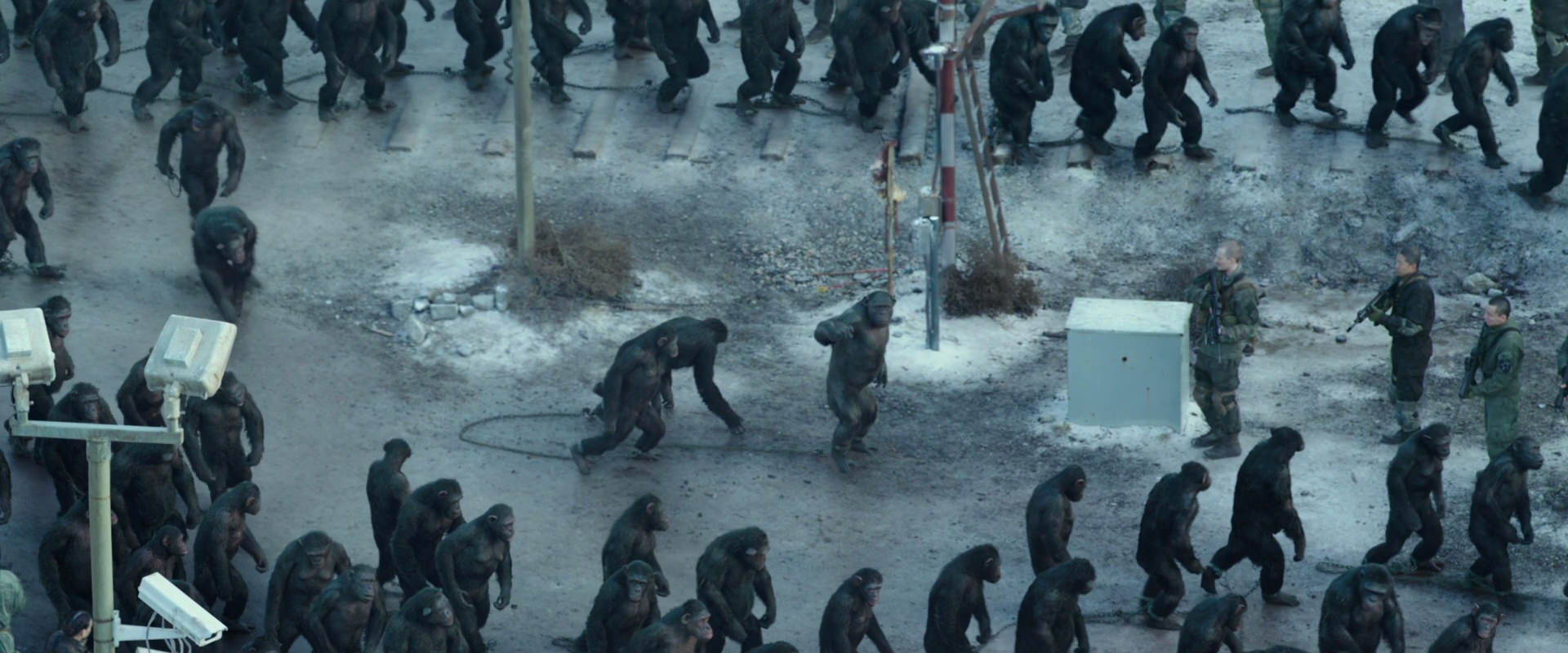 War for the Planet of the Apes (2017) HD screenshot 11696