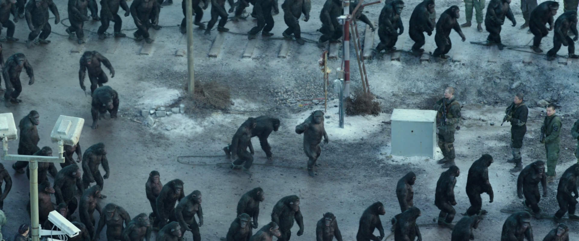 War for the Planet of the Apes (2017) screencap 11697