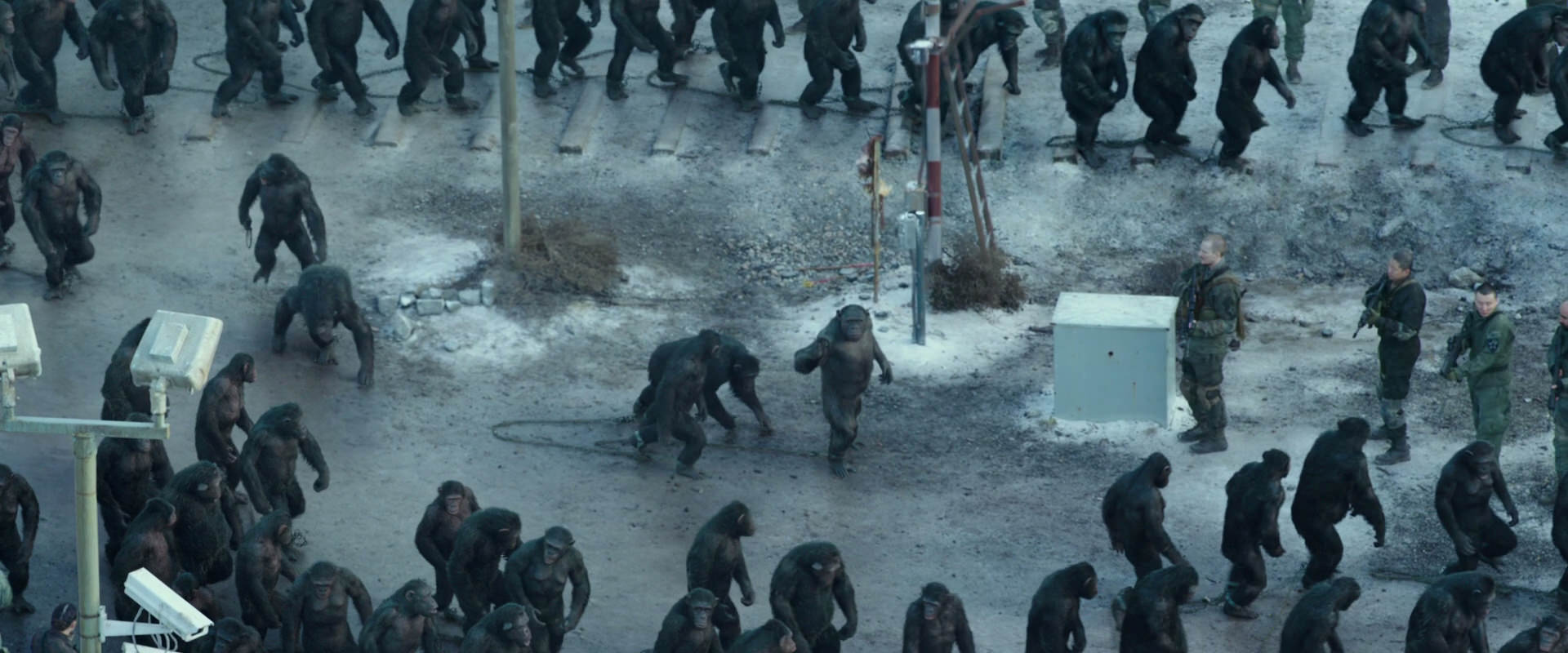 War for the Planet of the Apes (2017) movie still 11698