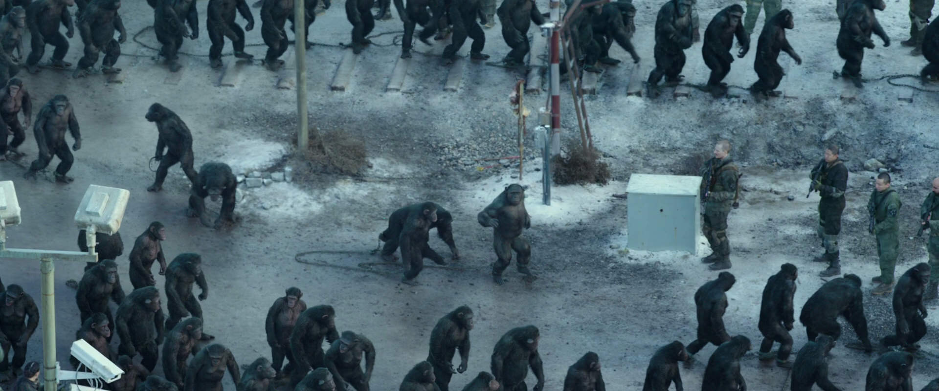 War for the Planet of the Apes (2017) HD screenshot 11699