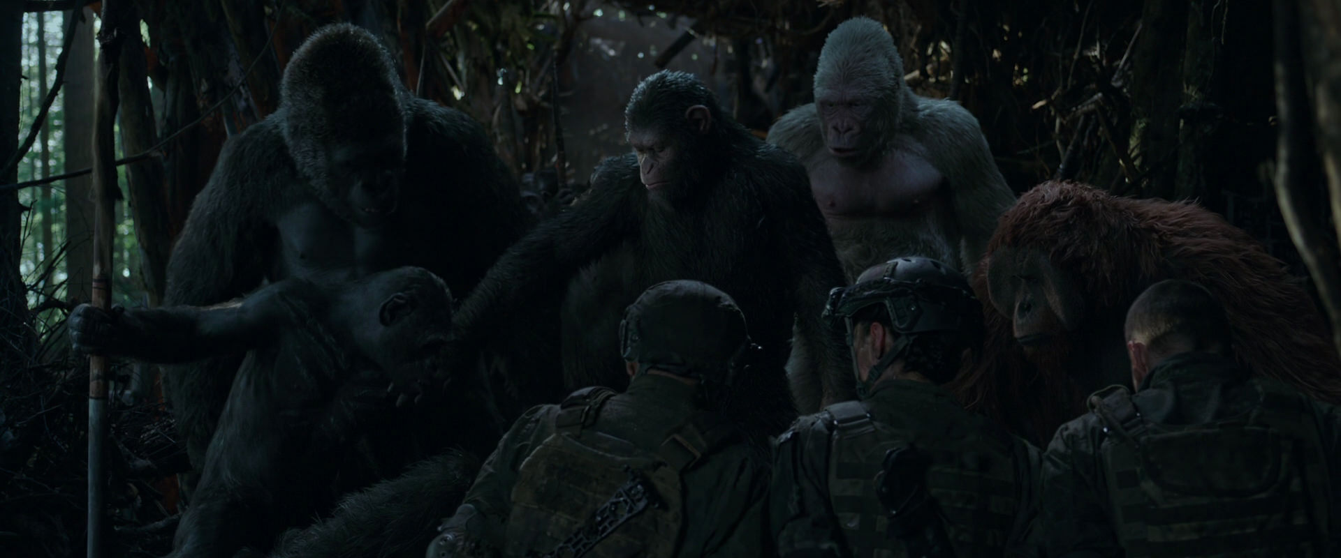 War for the Planet of the Apes (2017) screencap 1170