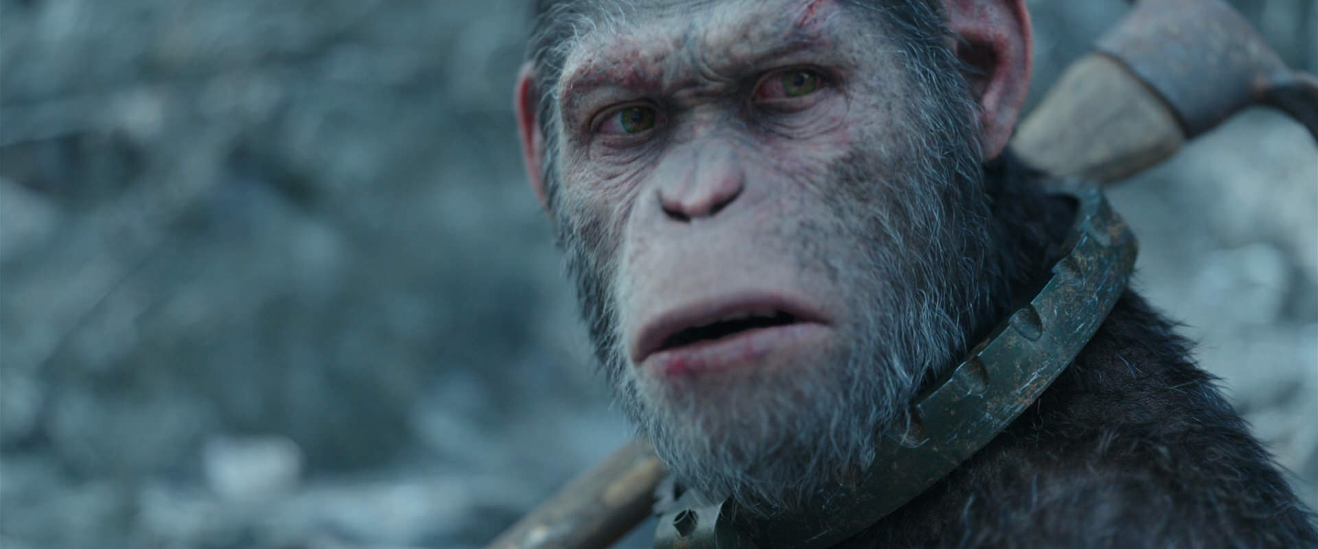 War for the Planet of the Apes (2017) screencap 11700