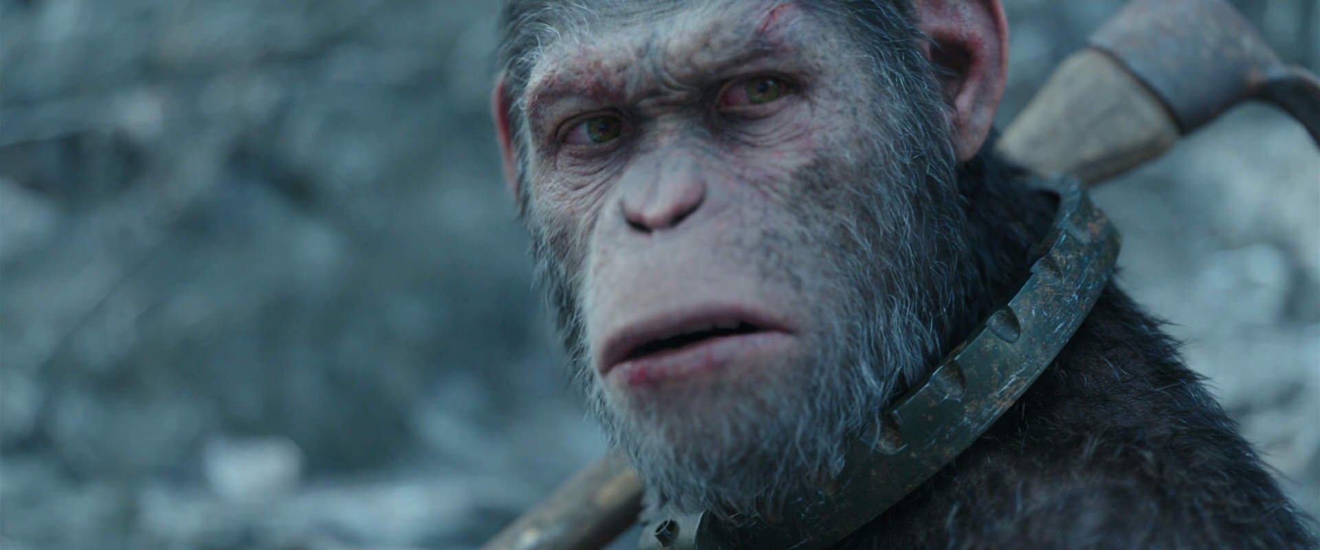 War for the Planet of the Apes (2017) movie still 11701