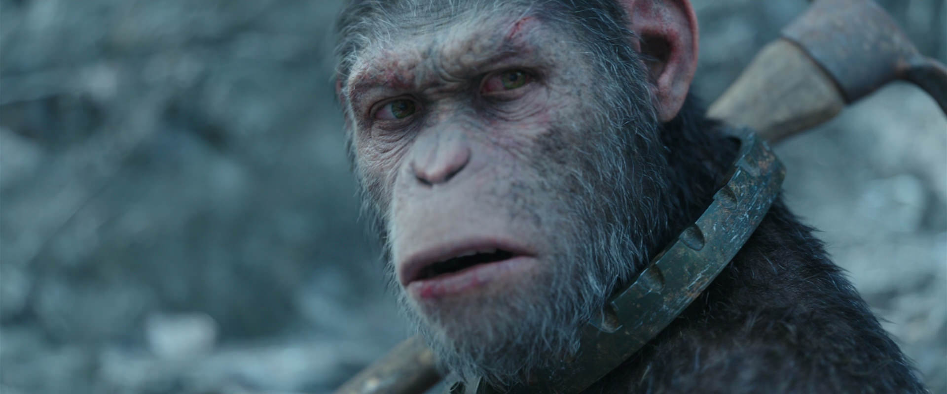 War for the Planet of the Apes (2017) HD screenshot 11702