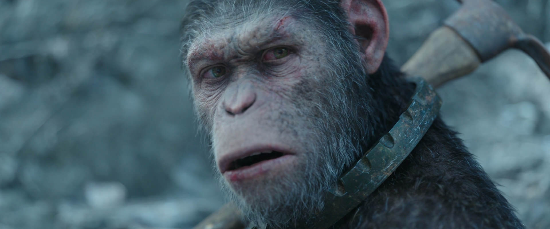 War for the Planet of the Apes (2017) screencap 11703