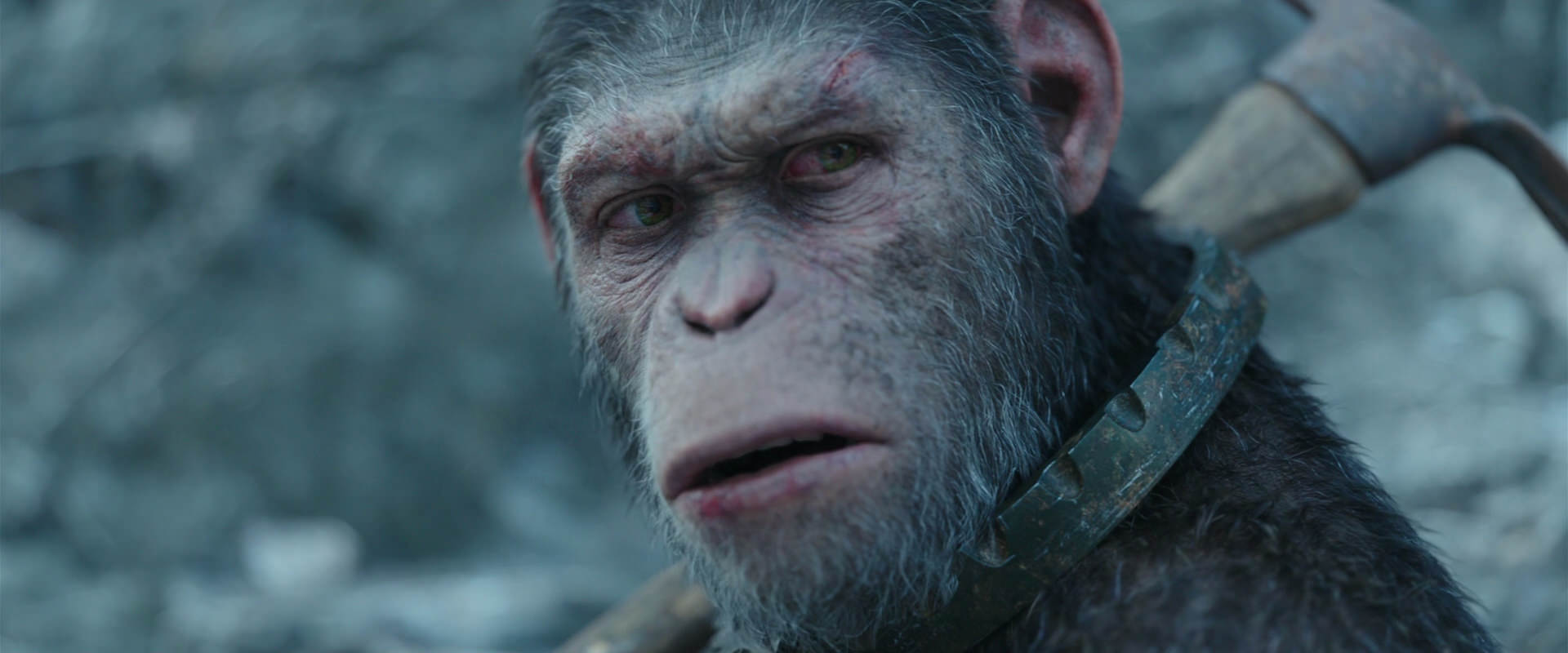 War for the Planet of the Apes (2017) movie still 11704
