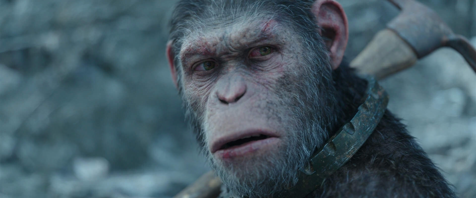War for the Planet of the Apes (2017) HD screenshot 11705