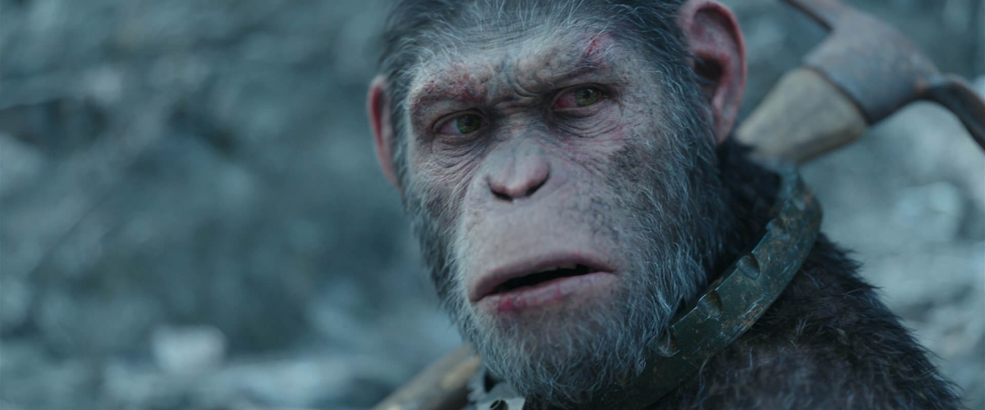 War for the Planet of the Apes (2017) screencap 11706