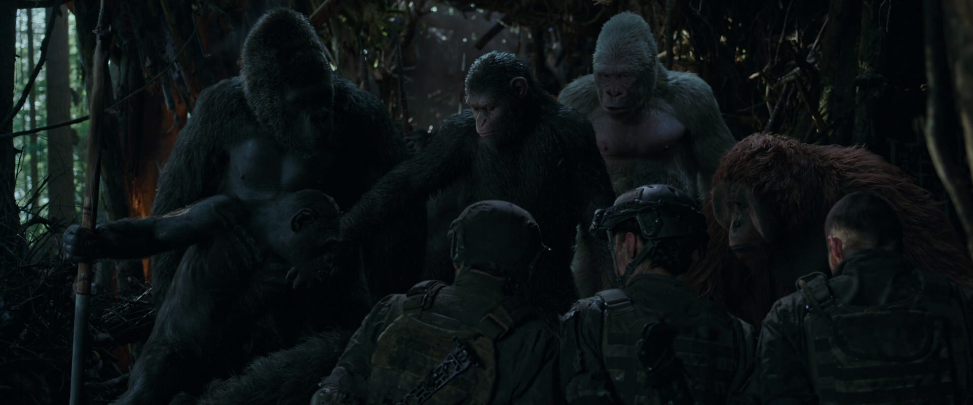 War for the Planet of the Apes (2017) movie still 1171