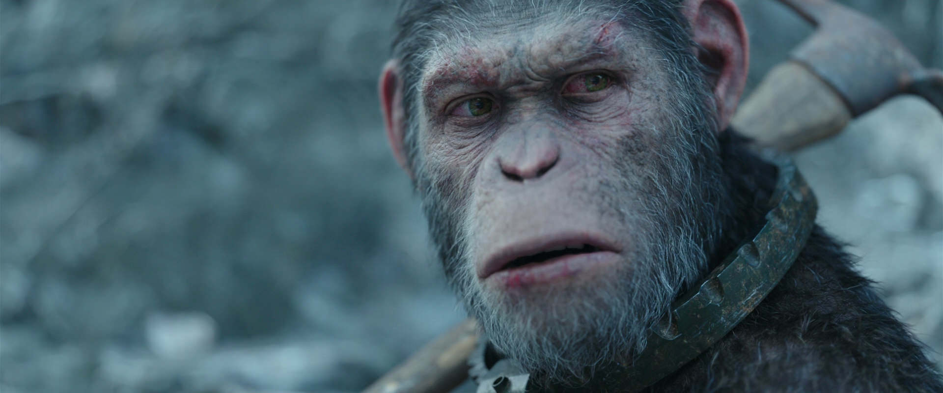 War for the Planet of the Apes (2017) movie still 11710