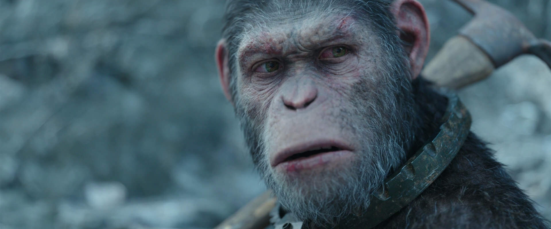 War for the Planet of the Apes (2017) HD screenshot 11711