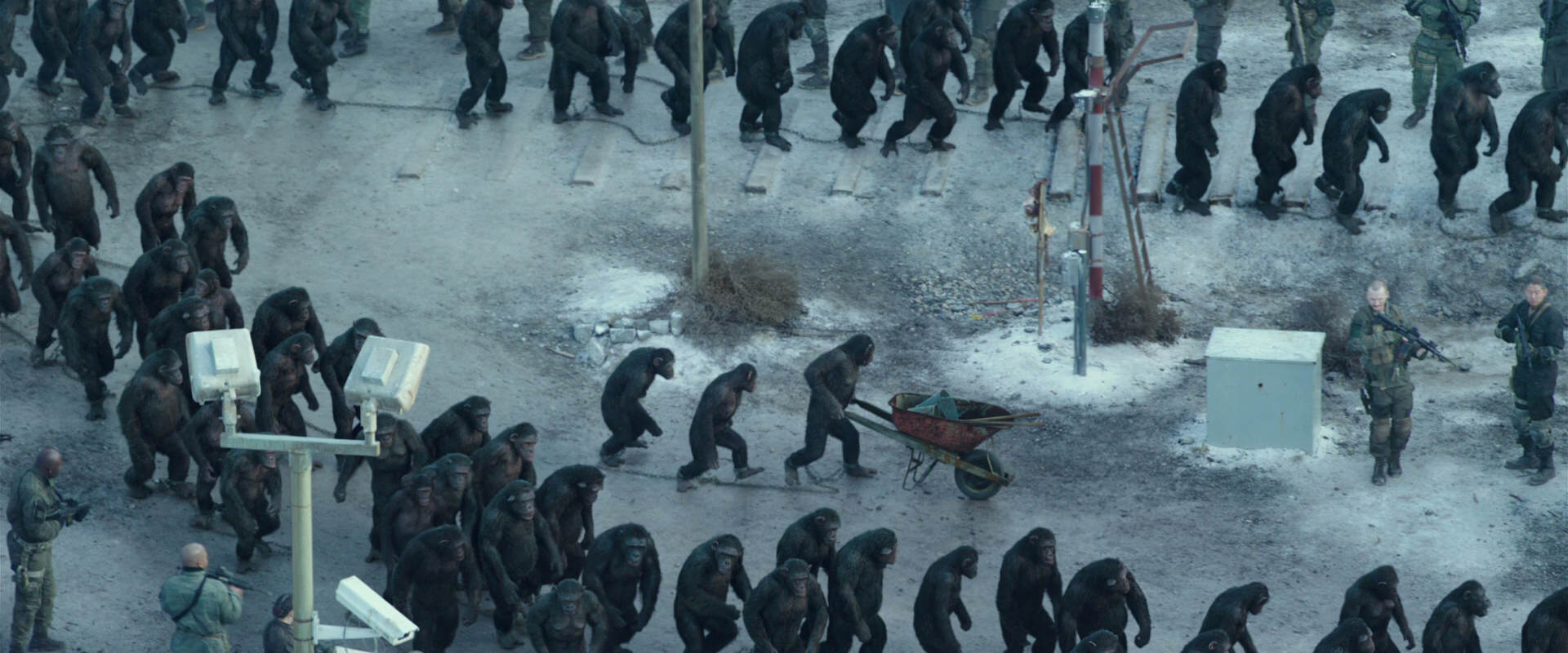 War for the Planet of the Apes (2017) movie still 11713