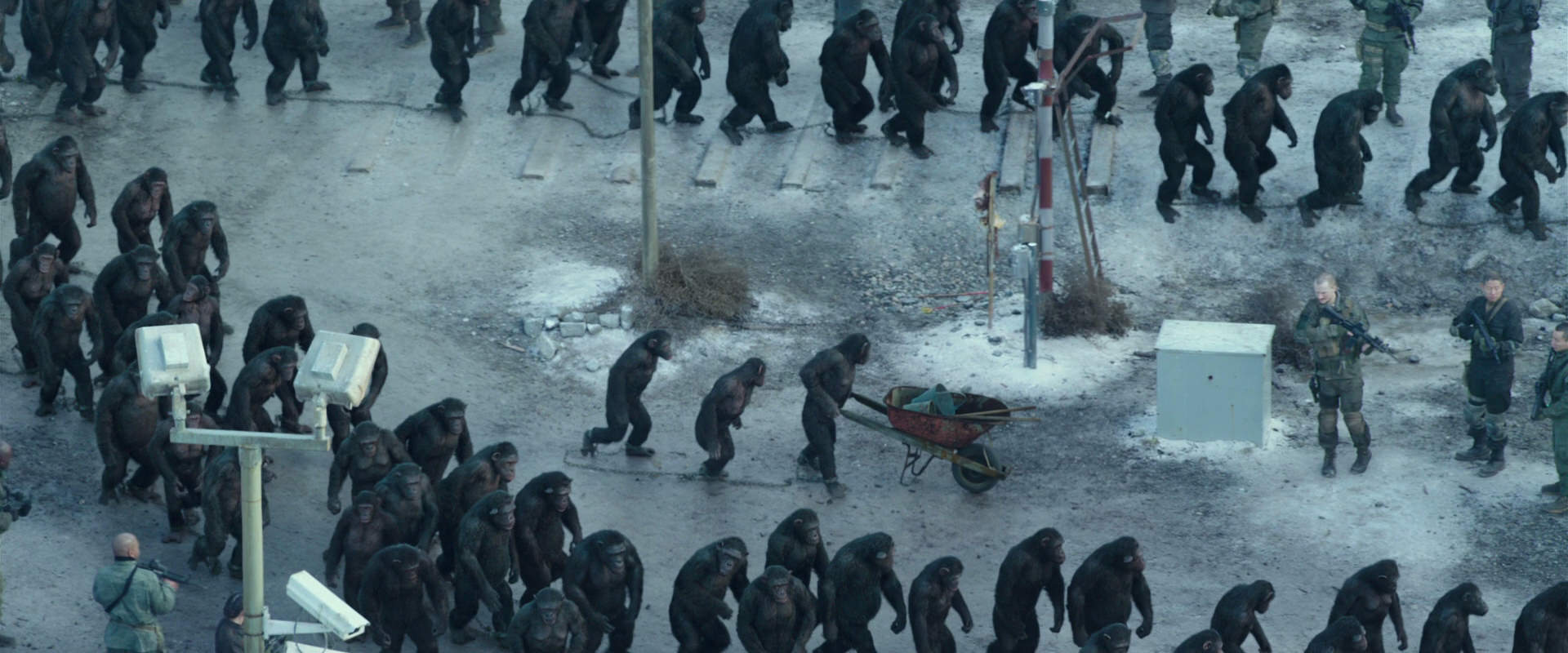 War for the Planet of the Apes (2017) HD screenshot 11714