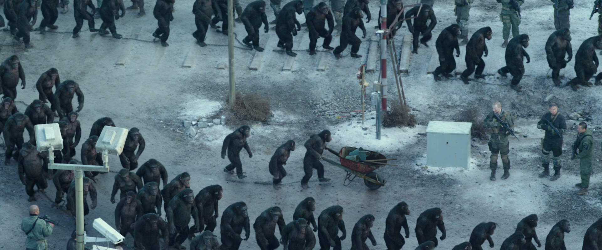 War for the Planet of the Apes (2017) screencap 11715
