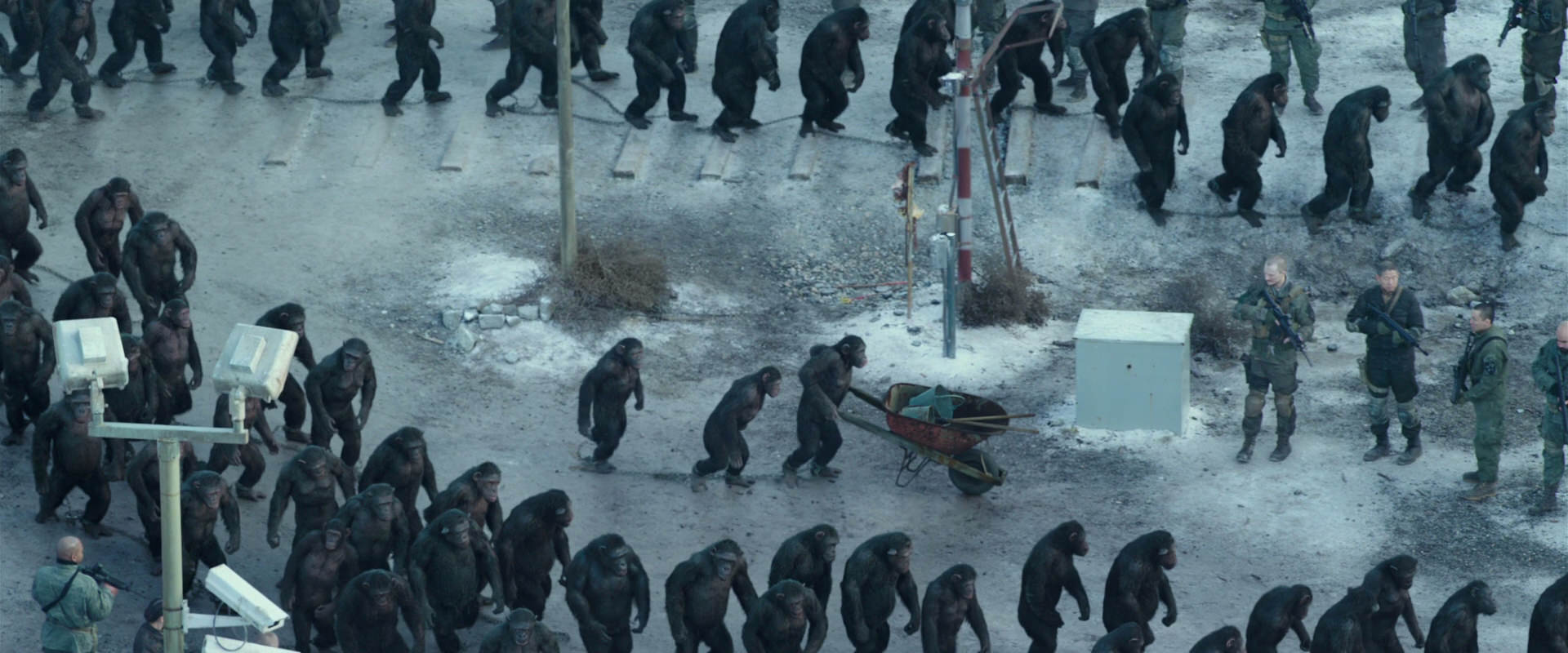 War for the Planet of the Apes (2017) movie still 11716