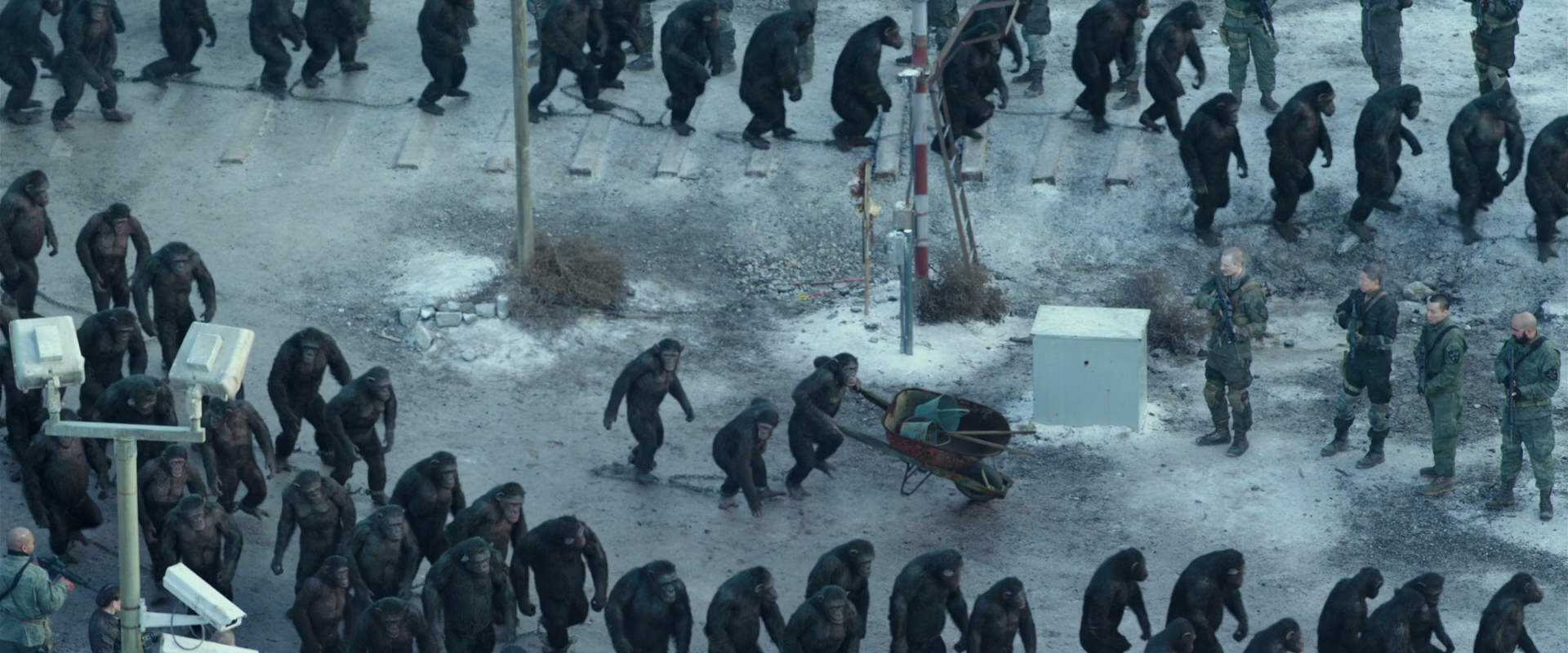 War for the Planet of the Apes (2017) screencap 11718