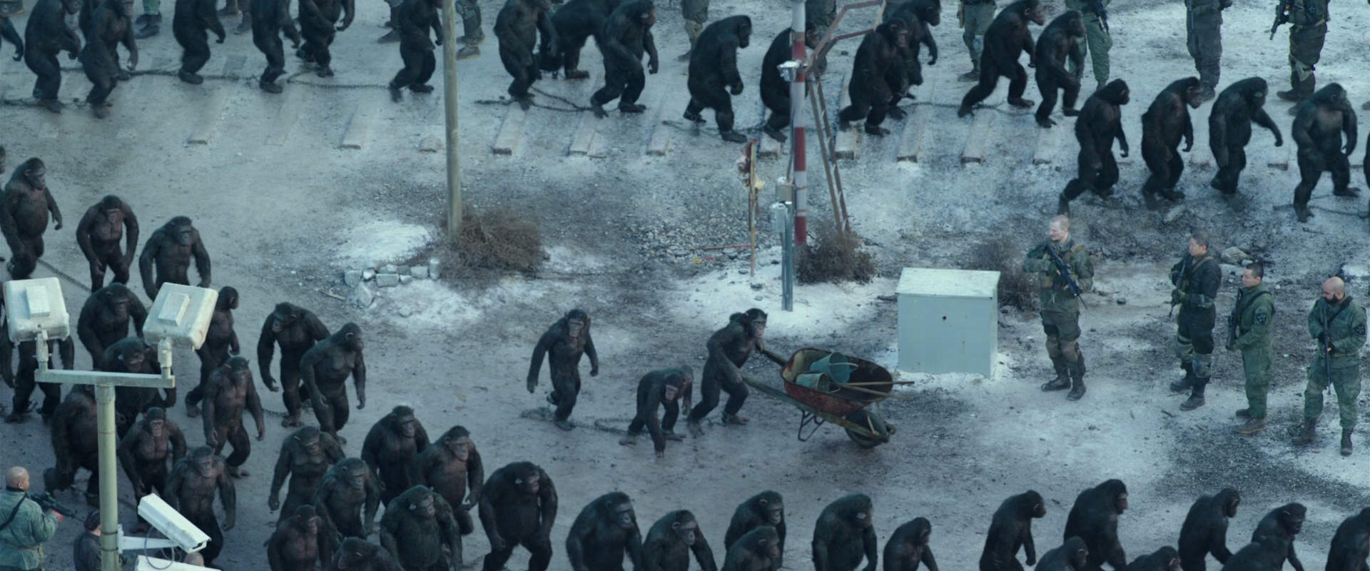 War for the Planet of the Apes (2017) movie still 11719