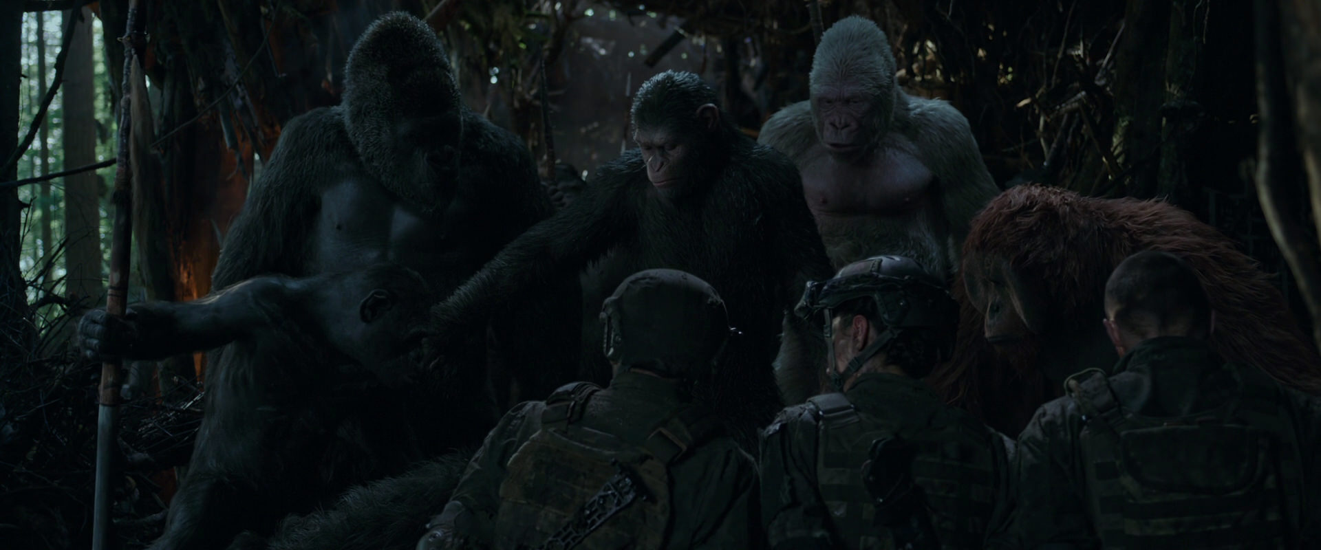 War for the Planet of the Apes (2017) HD screenshot 1172