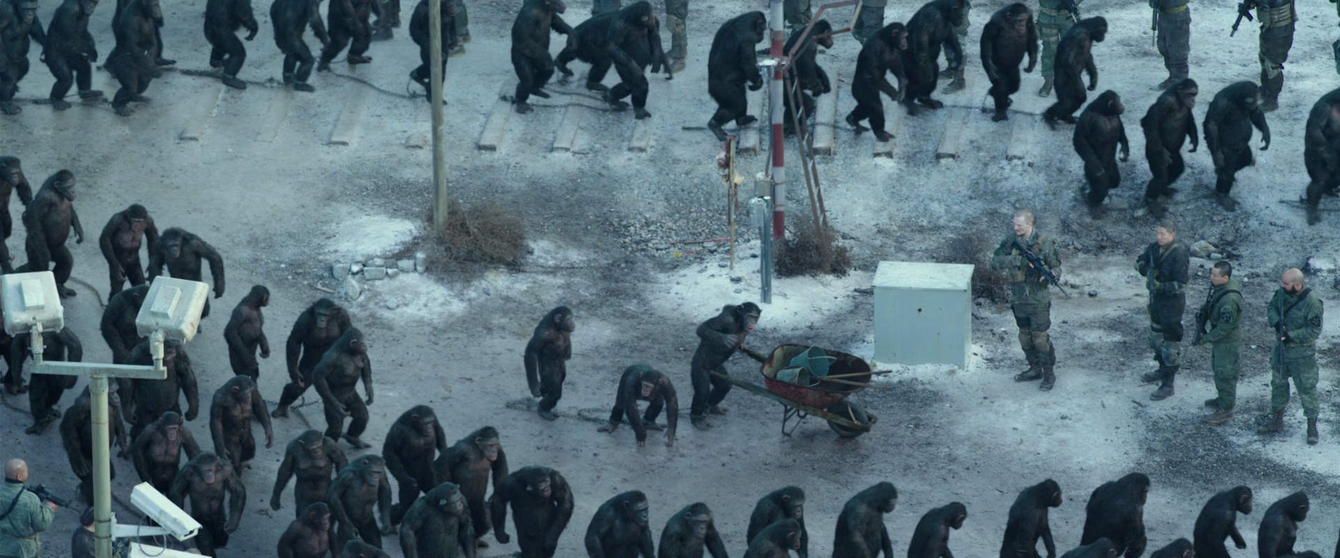 War for the Planet of the Apes (2017) HD screenshot 11720