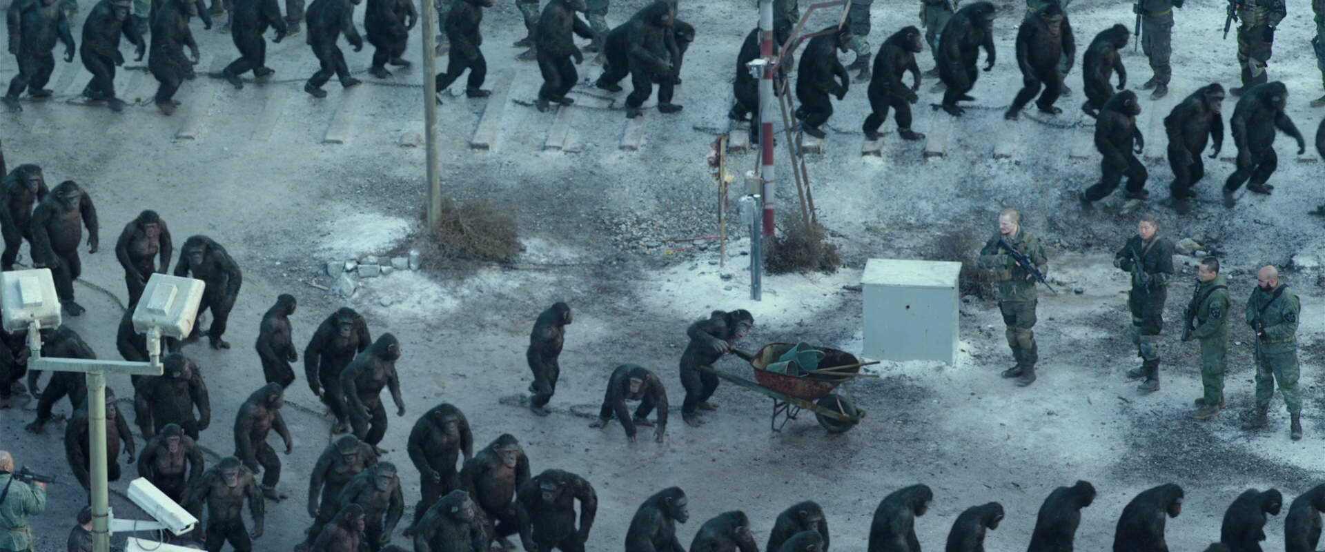 War for the Planet of the Apes (2017) screencap 11721