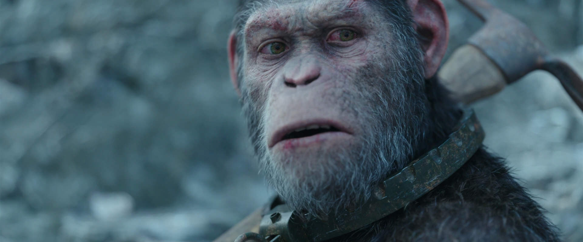 War for the Planet of the Apes (2017) movie still 11722