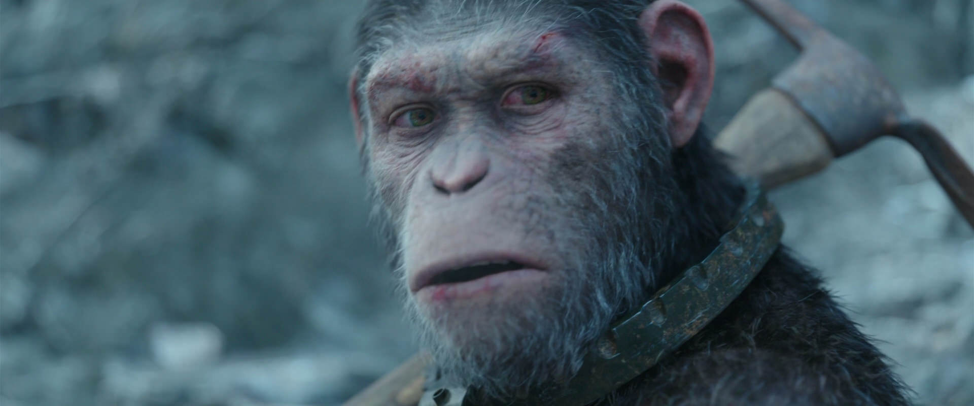 War for the Planet of the Apes (2017) HD screenshot 11723