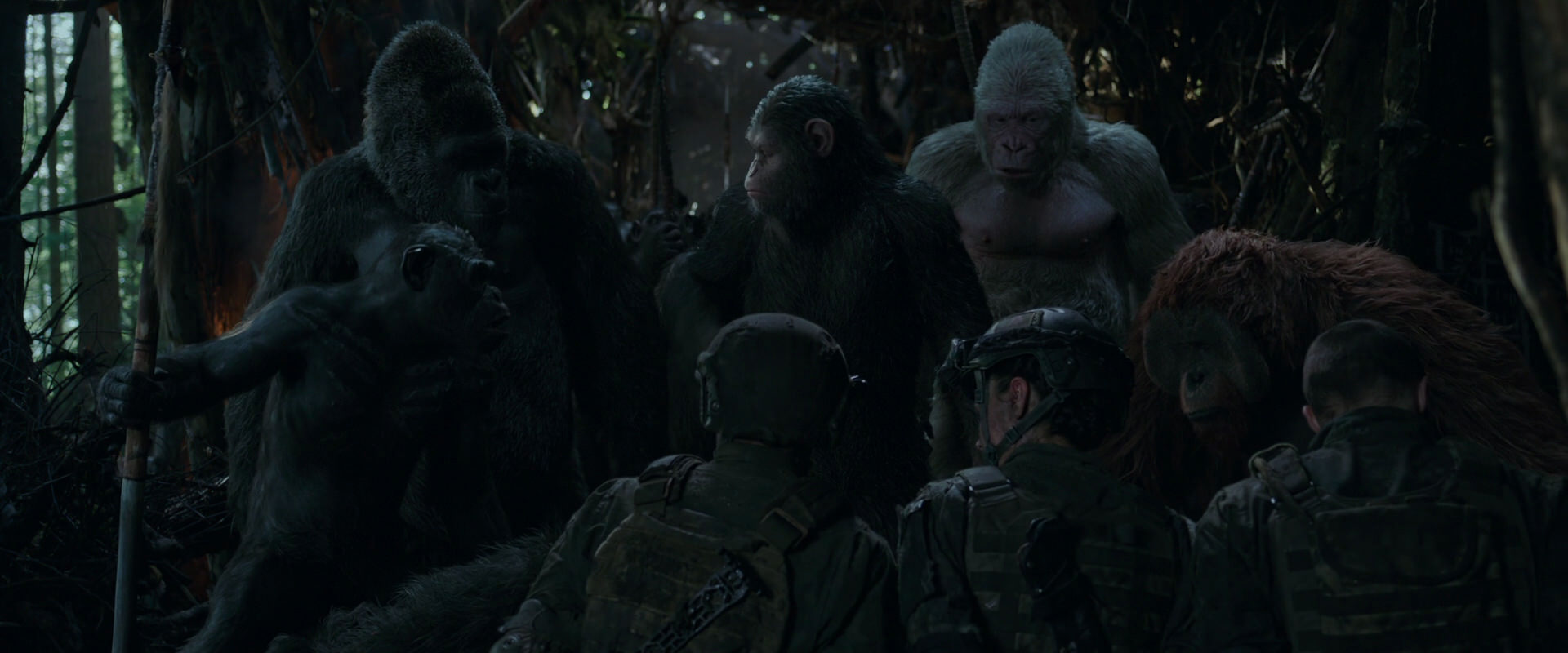 War for the Planet of the Apes (2017) movie still 1174