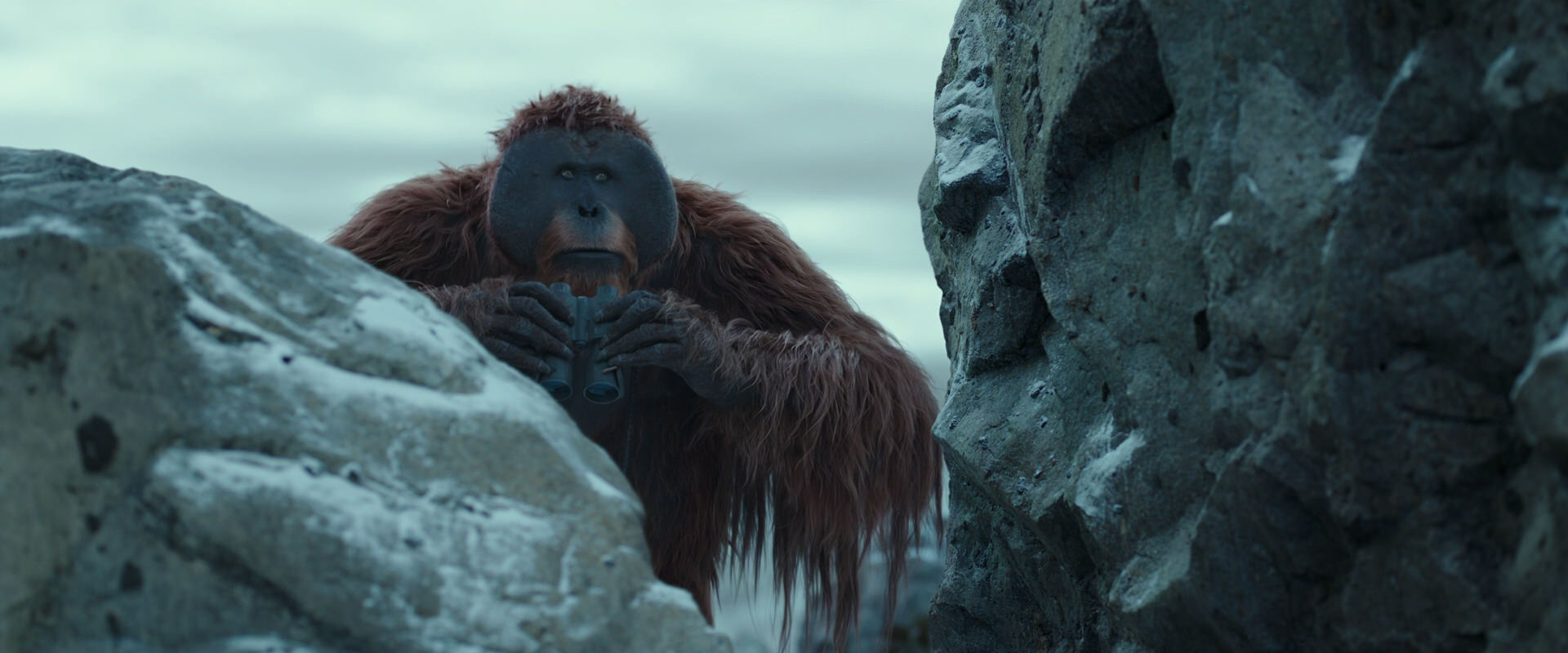 War for the Planet of the Apes (2017) screencap 11742