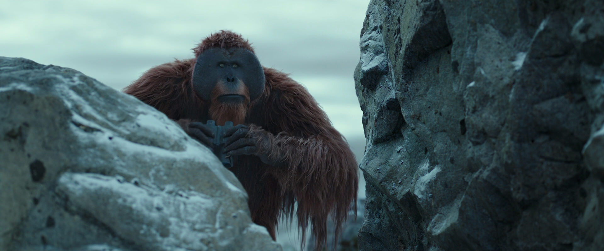War for the Planet of the Apes (2017) movie still 11743