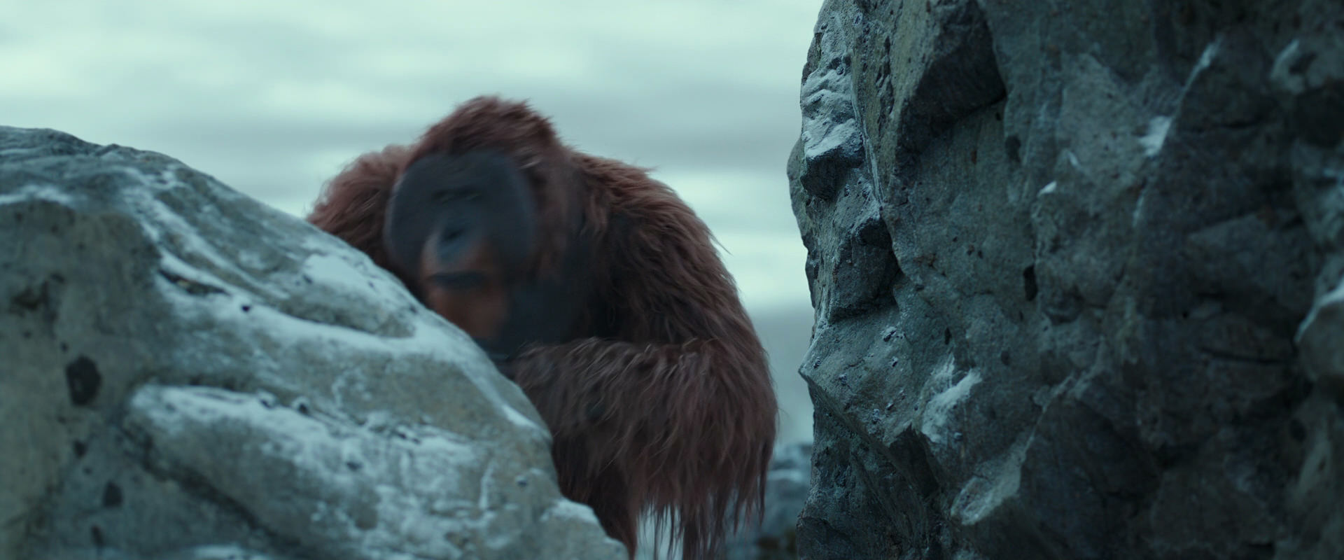 War for the Planet of the Apes (2017) HD screenshot 11744