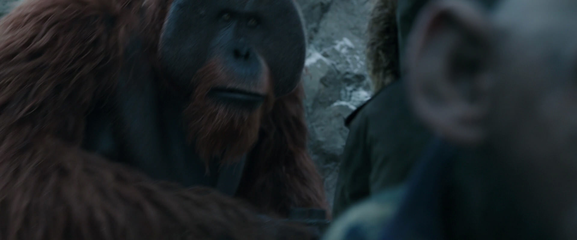 War for the Planet of the Apes (2017) screencap 11745
