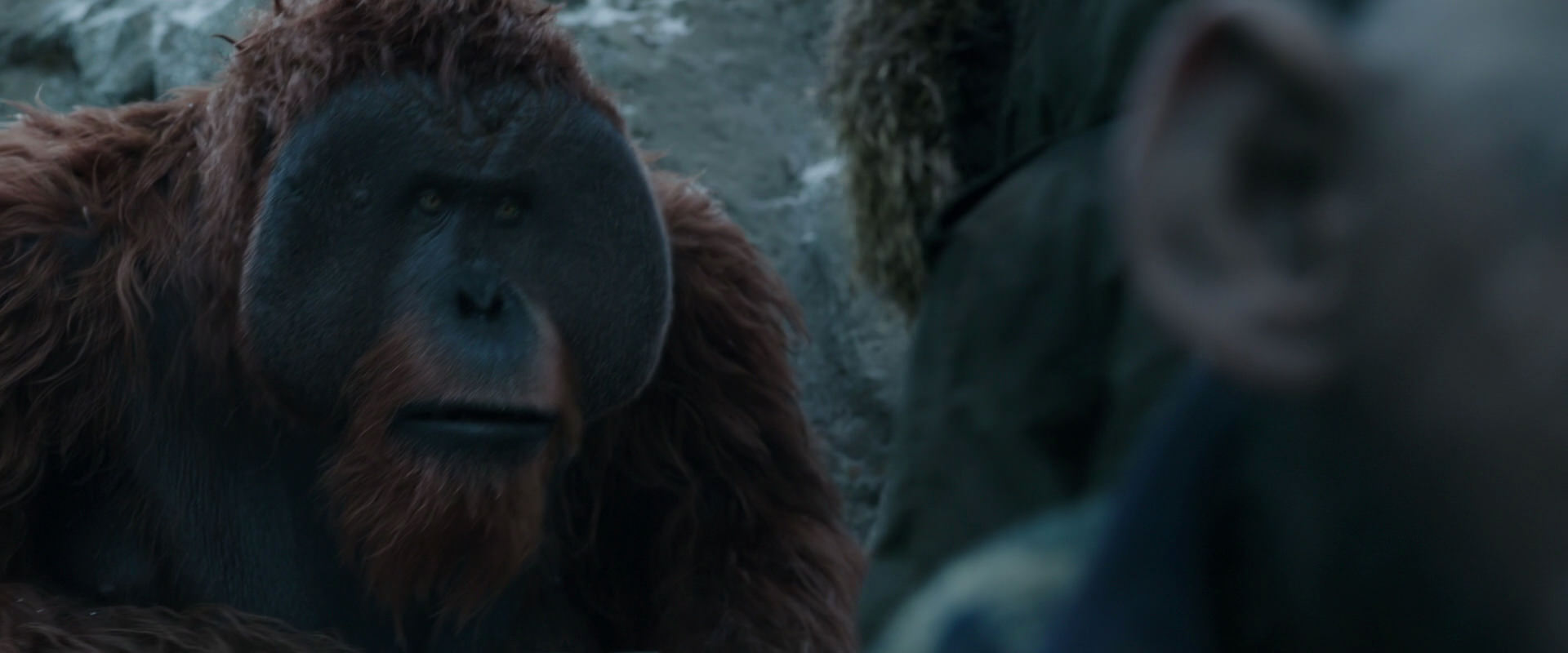 War for the Planet of the Apes (2017) movie still 11746