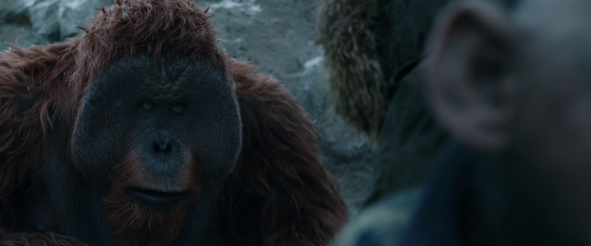 War for the Planet of the Apes (2017) HD screenshot 11747