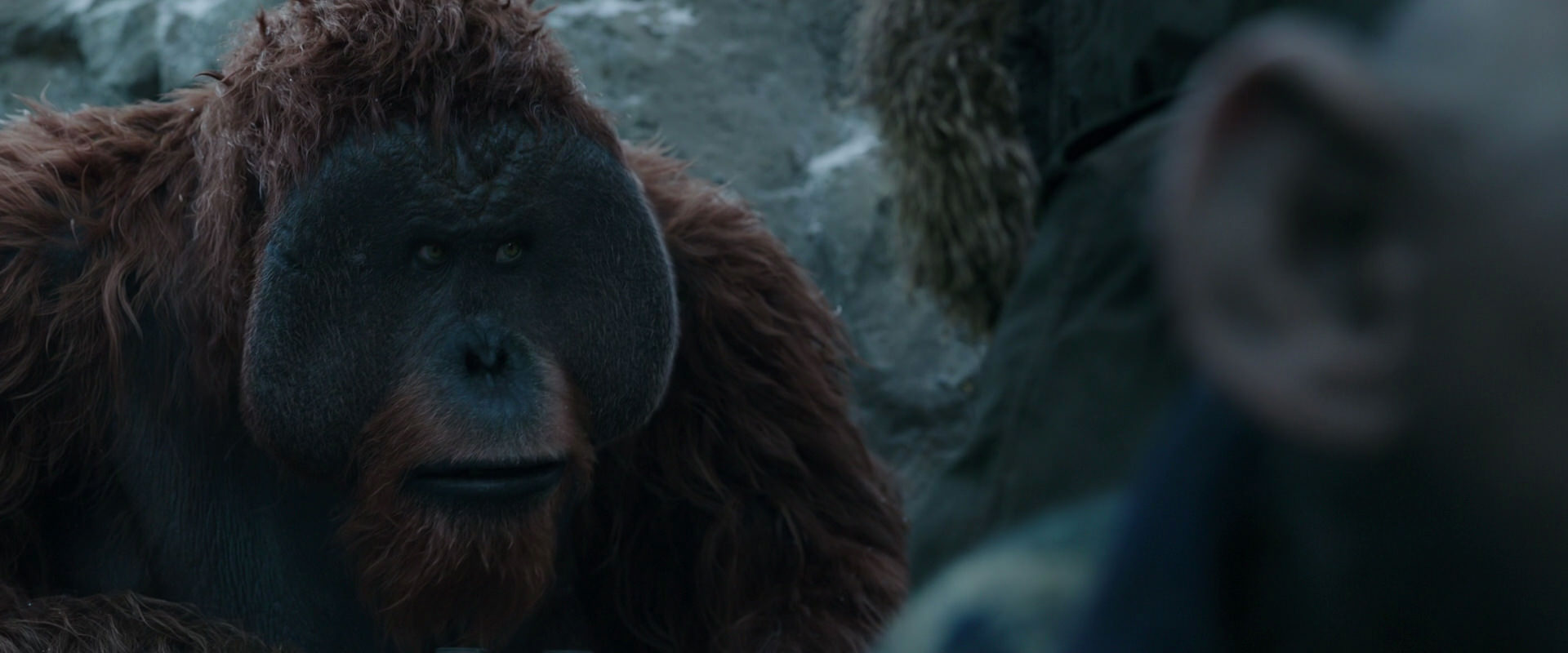War for the Planet of the Apes (2017) screencap 11748