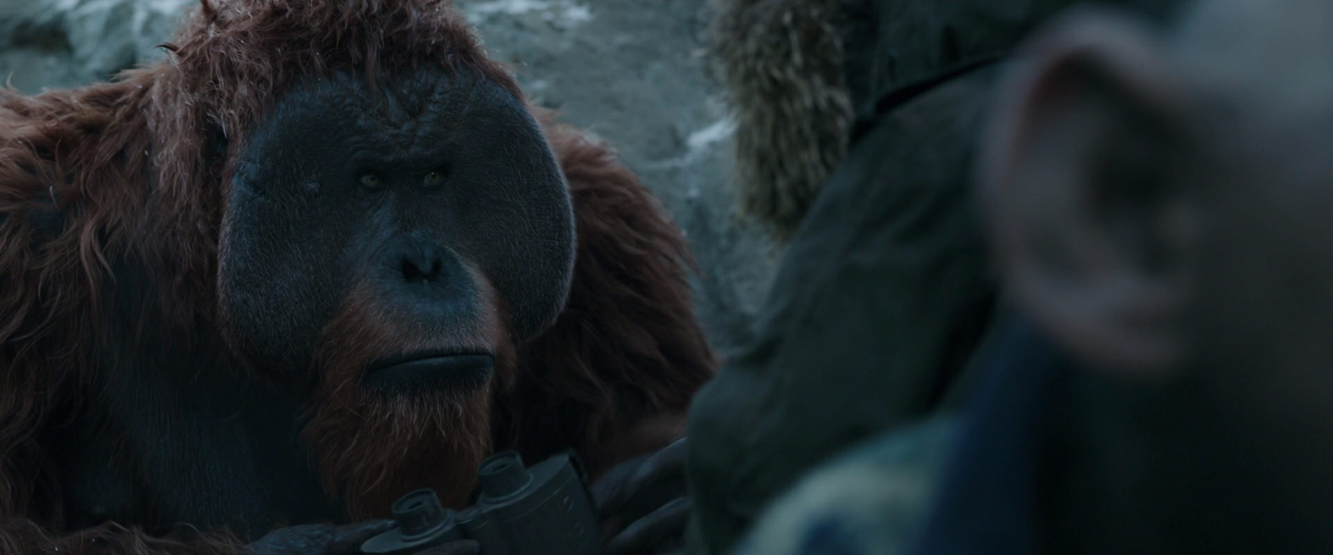 War for the Planet of the Apes (2017) movie still 11749