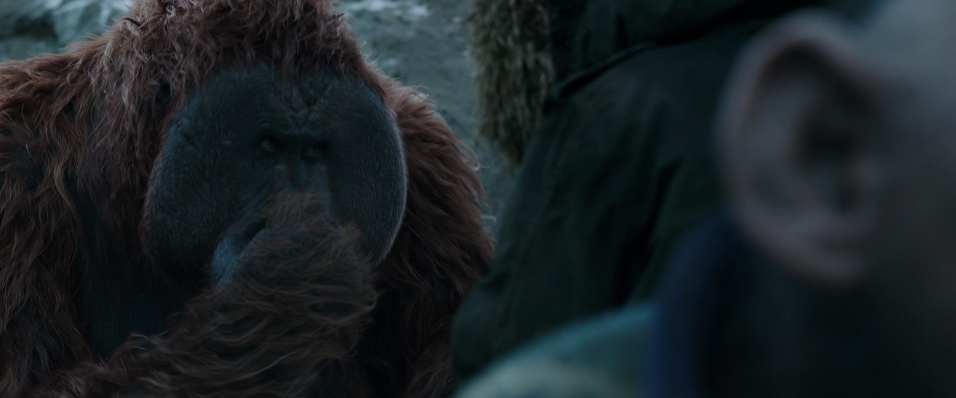 War for the Planet of the Apes (2017) screencap 11754