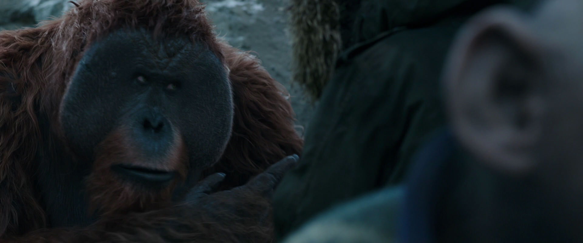 War for the Planet of the Apes (2017) movie still 11755