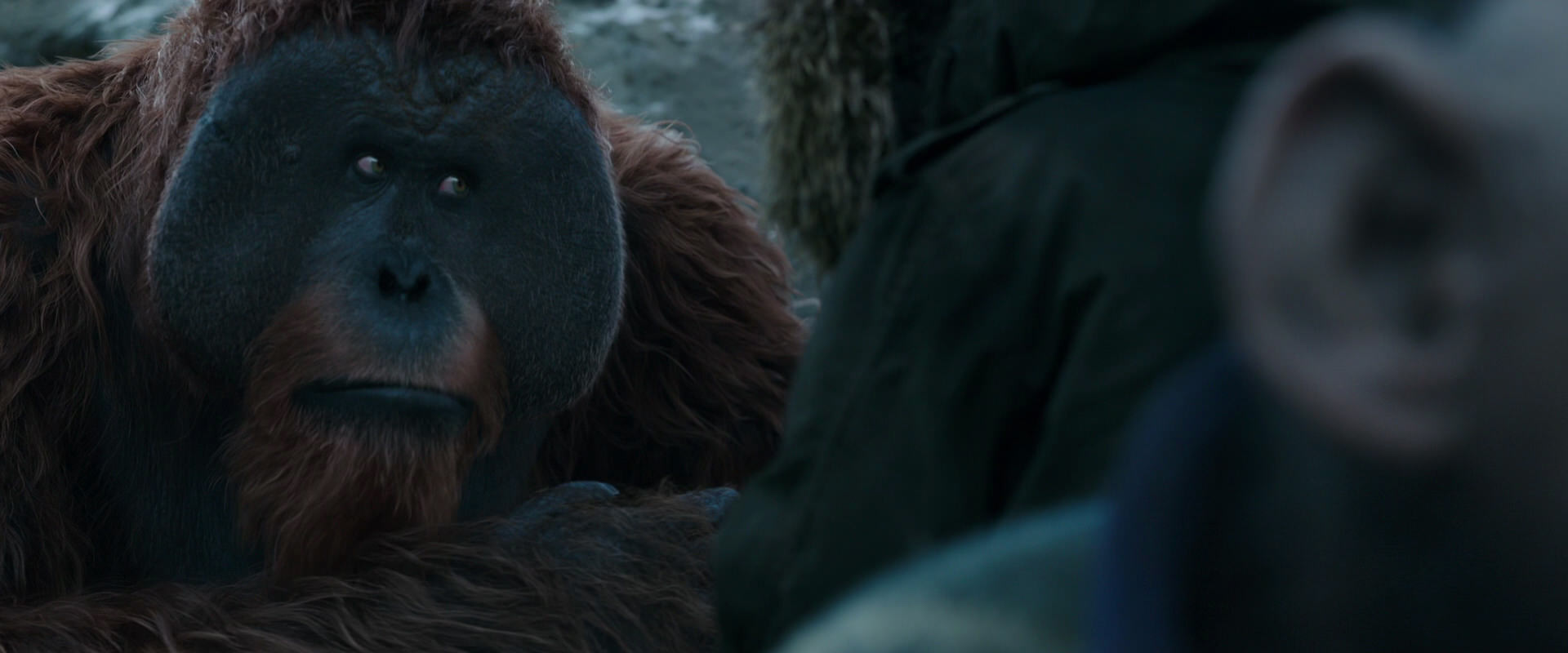 War for the Planet of the Apes (2017) HD screenshot 11756