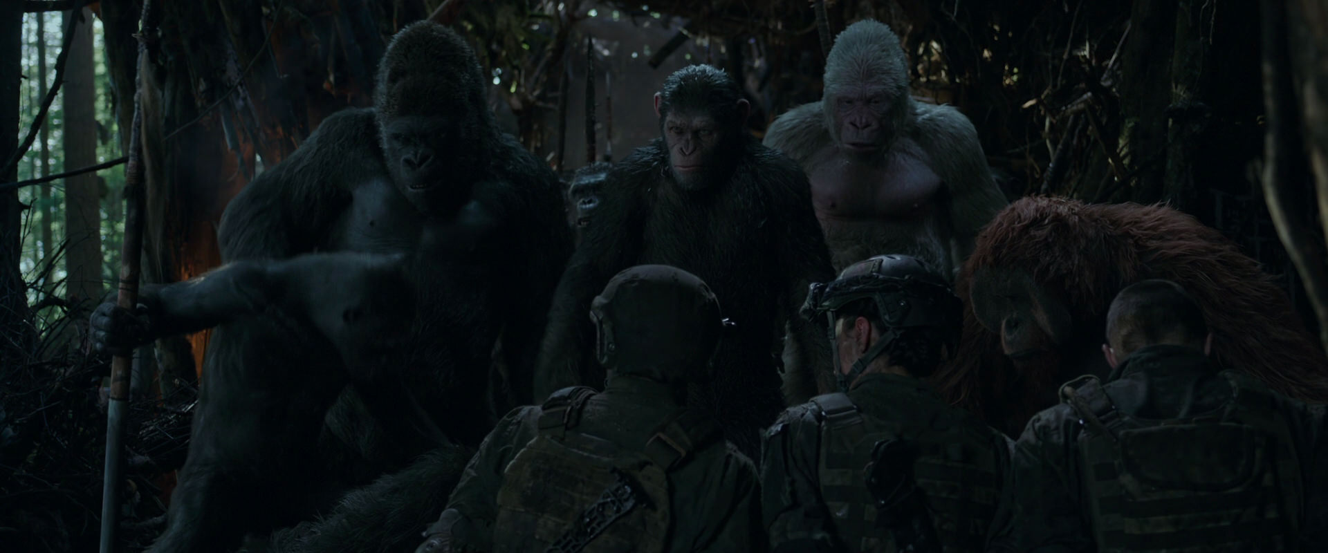 War for the Planet of the Apes (2017) screencap 1176
