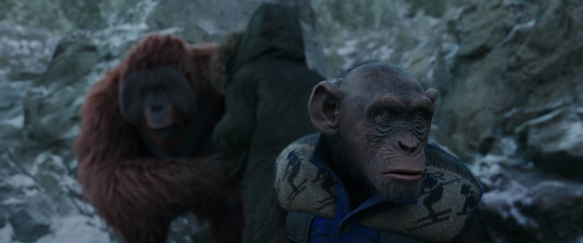 War for the Planet of the Apes (2017) screencap 11760