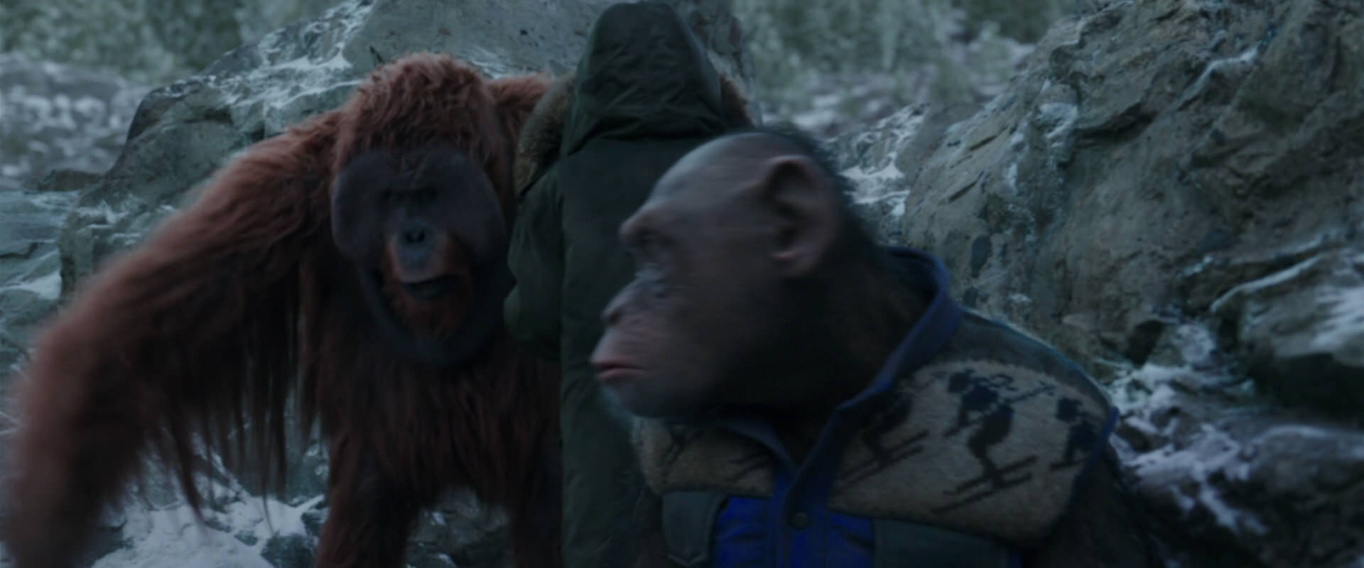War for the Planet of the Apes (2017) movie still 11761